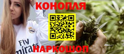 Альфа ПВП Камышлов