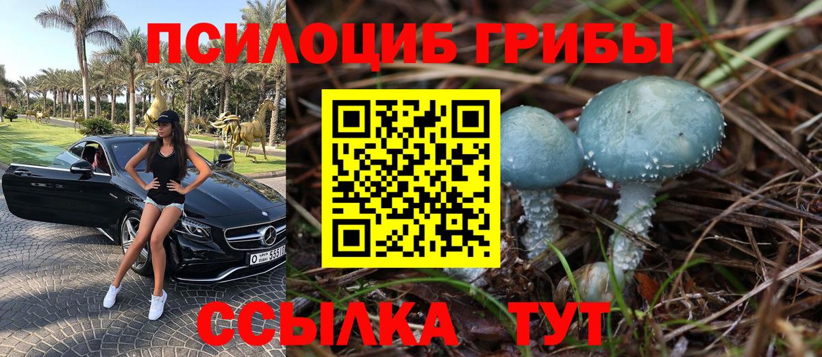 Псилоцибиновые грибы MAGIC MUSHROOMS  Галлюциногенные грибы Psilocybe  Вход с VPN  Кострома 